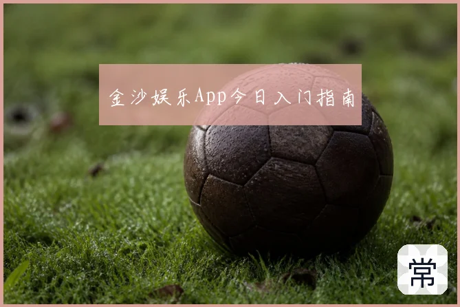 金沙娱乐App今日入门指南